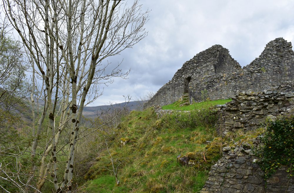 Castell Y Bere