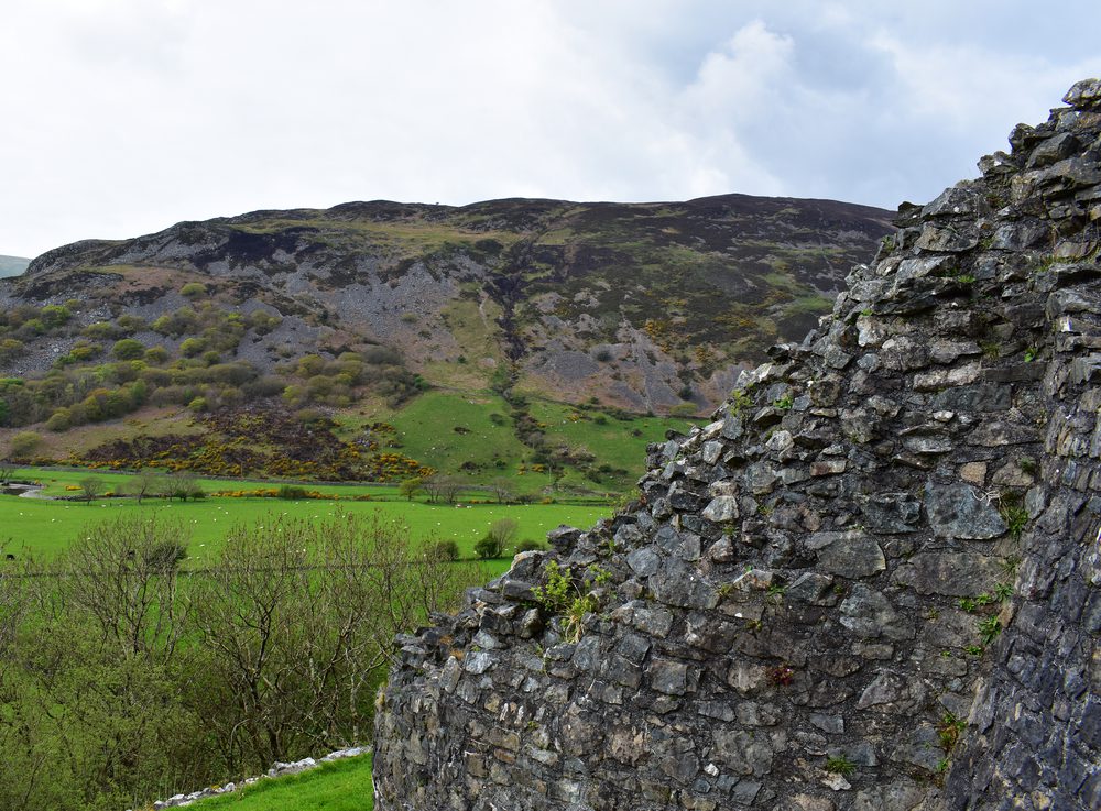 Castell Y Bere