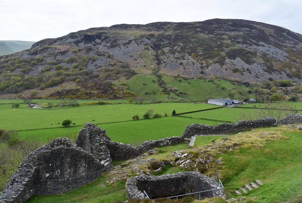 Castell Y Bere